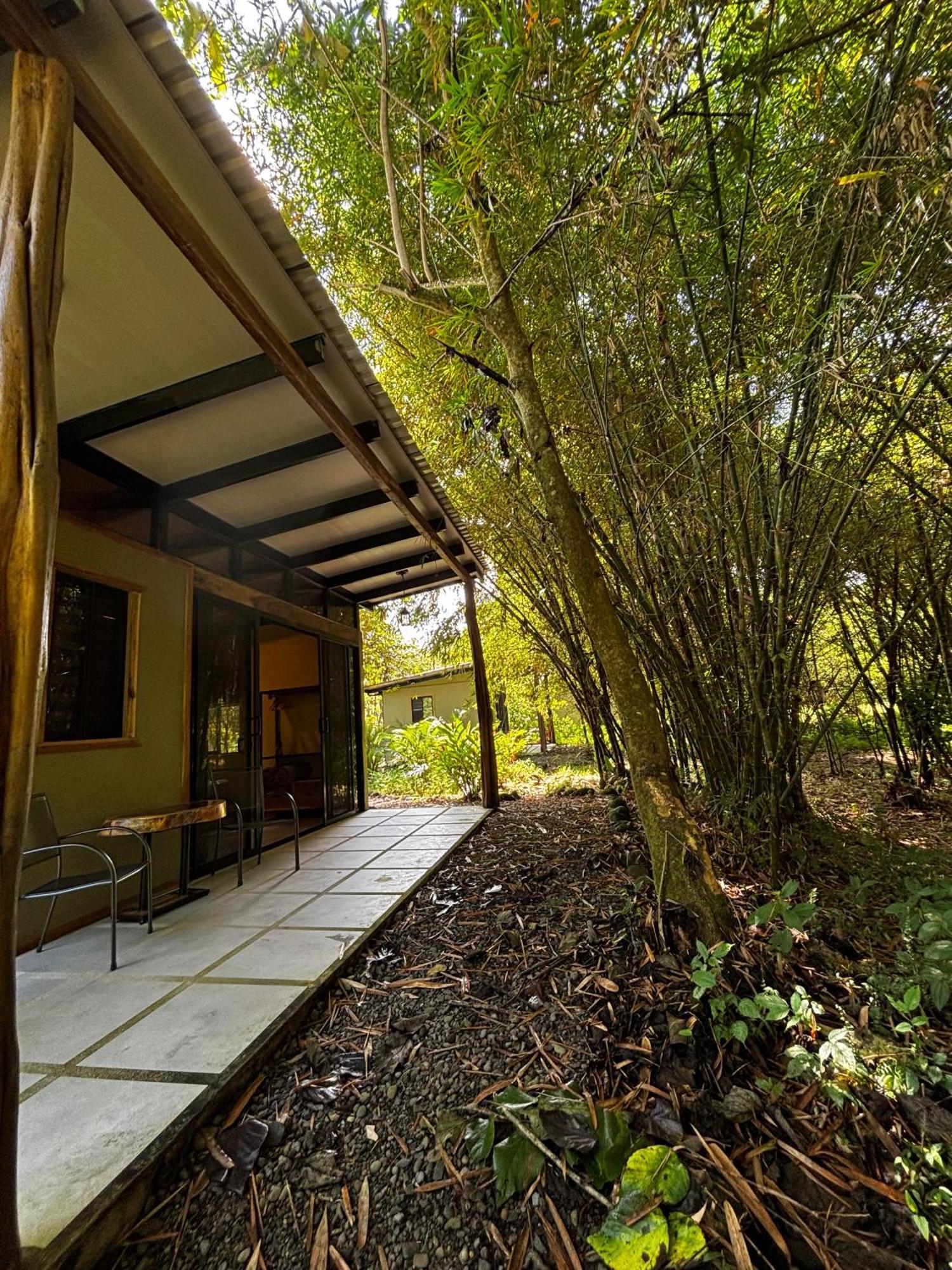 Bamboo River Lodge Horquetas Εξωτερικό φωτογραφία
